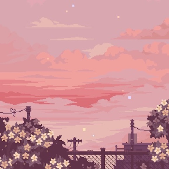 Meet your Posher, Kennedy - Picture 1 of 1